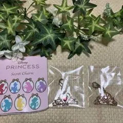 Disney Princess Secret Charm セット