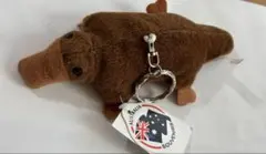 Item thumbnail for item ae209027-eed4-43c4-96b5-836bb4a8933f