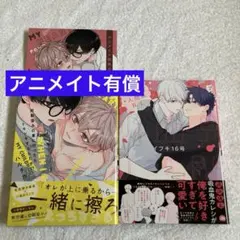 初版 全巻 5冊 特典 冊子 おかえり、初恋。 アニメイト 限定 5点 レア