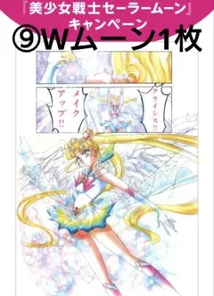 ⑨Wムーン 美少女戦士セーラームーン クリアファイル