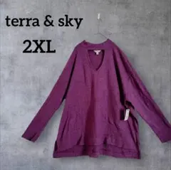 ✨美品 terra & sky Vネックニット 【2XL】レディース 秋 冬 紫
