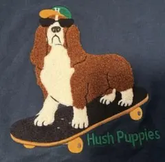 ハッシュパピー ニット