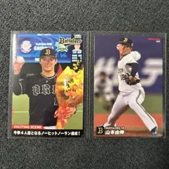 Item thumbnail for item 32970061-fa7b-47fa-b3d1-0d042b00a8a2