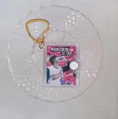 BTS JIN runseokjin moveバージョン ミニフォトキーホルダー