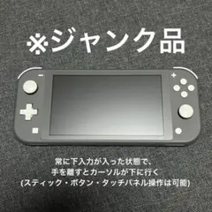 【ジャンク品】Nintendo Switch Lite グレー 本体