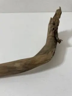 Item thumbnail for item f07fb0fc-725c-4d39-8150-6ed6a5641d87