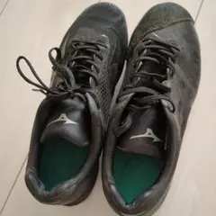 ポイントスパイク