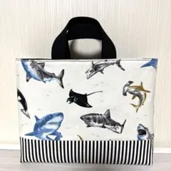 Item thumbnail for item 56bccd5e-04d9-4c10-a440-bb3ba75b2b52