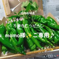 ❇️☘️『momo様』ご専用です♪☘️7月12日ｏｒ19日発送♪（発送日選択可）
