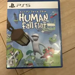 PS5 ヒューマン フォール フラット