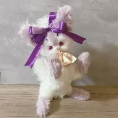 2026年最新】アートドール 狐の人気アイテム - メルカリ