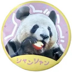 2026年最新】シャンシャン 缶バッジの人気アイテム - メルカリ