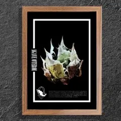 【#4080】すーさん様 リクエスト 8点 まとめ商品