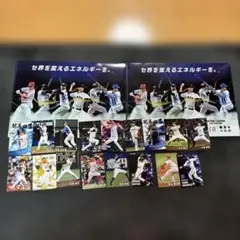 プロ野球チップス　キラ有　クリアファイルおまけ付き