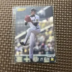 m57435761760_1.jpg?1690727346