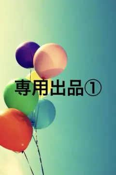 のんのん様専用出品①