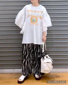 LEPSIM サイドフハクBIG-T