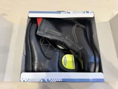 Item thumbnail for item 62e3425d-3db9-4a85-83af-7f50fd6ba533