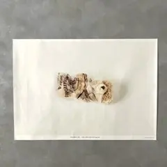 kota様 リクエスト 3点 まとめ商品