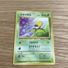 現物 マダツボミ ポケモンカード　旧裏面　未使用　美品 拡張シート 7179.ポケモンカード マダツボミ Lv.11 旧裏No.069 姫野かげまる