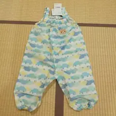 Item thumbnail for item 757c1ad6-3700-4437-a12f-ff4dd8976bd0