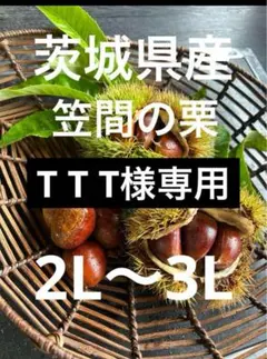 TTT様専用