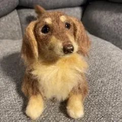 羊毛フェルト　ミニチュアダックス　犬