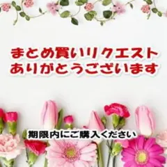 mam様 リクエスト 2点 まとめ商品