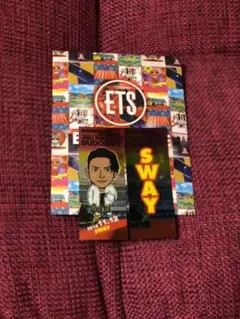 ☆最終お値下げ☆DOBERMAN INFINITY SWAY 千社札