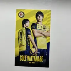 Item thumbnail for item 295e0fdf-21c0-443d-a287-0cfd4c0cde73