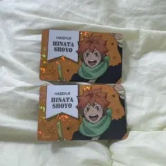 ハイキュー × コスモワールド 日向翔陽 ホログラムカード2枚セット