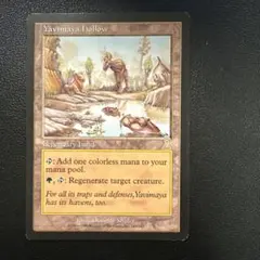 MTG UDS ヤヴィマヤのうろ穴 日本語 FOIL 1枚 Foil】《ヤヴィマヤのうろ穴/Yavimaya Hollow》[UDS] 土地R | 日本最大