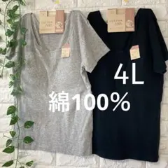 綿100％ カップ付き 半袖(フレンチ袖) 2枚 4L 大きいサイズ ブラック