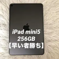 【完動品】iPad mini5 256GB 【すぐ発送】