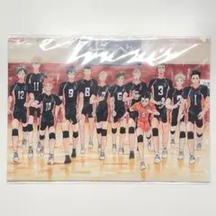 ハイキュー展　クリアファイル　2枚セット