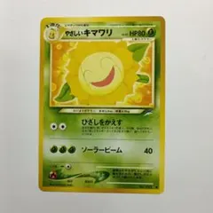 2026年最新】やさしいキマワリの人気アイテム - メルカリ
