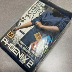 Item thumbnail for item 0159fb63-e346-487e-9345-0222f481466d