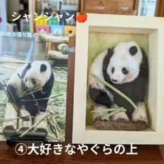 羊毛フェルト　④シャンシャンリアルフレーム