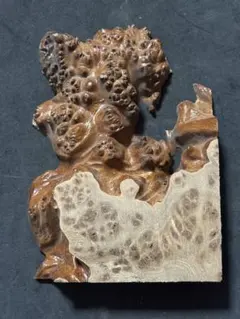 Item thumbnail for item b9f87d00-810a-4fca-9b16-1ff5dcd60247