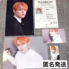 nct dream 2023 シーグリ チョンロ カレンダー トレカ ポスカ