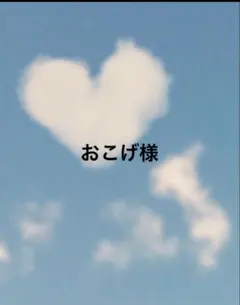 おこげ(即購入歓迎)様 リクエスト 2点 まとめ商品