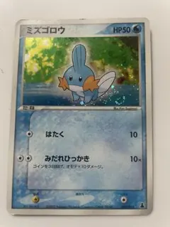 ポケモンカード ミズゴロウ 003/019