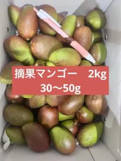 摘果マンゴー7キロ - メルカリ