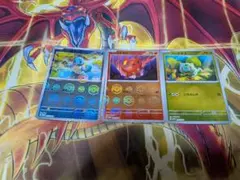 ポケモンカード プロモ　ゼニガメ ヒトカゲ フシギダネ