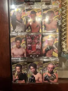 RIZIN格闘技 ホログラム トレーディングカード 16枚セット - メルカリ
