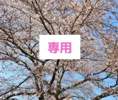 kawazu Gaming様 専用のサムネイル