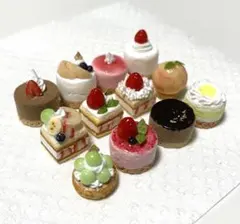 プチガトー　12種セット　ミニチュア