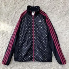 ウインドブレーカー レディース l