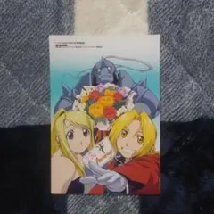 アニメディア 付録 生写真 鋼の錬金術師
