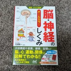 運動・からだ図解 脳・神経のしくみ